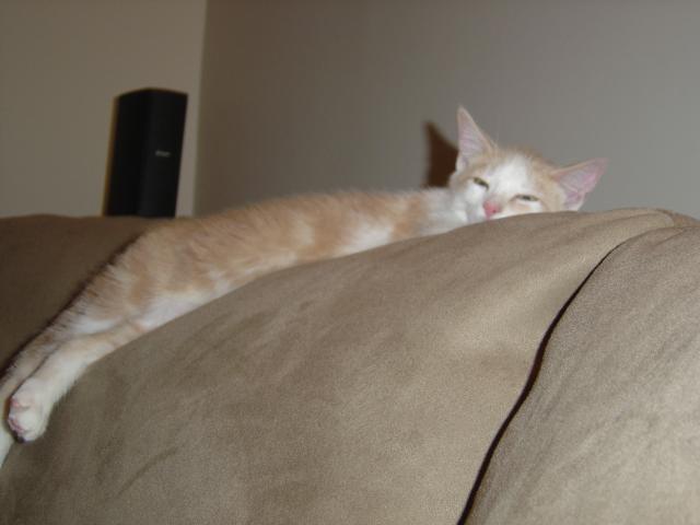 DSC00374