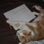 Chester C. Greenberg, CPA