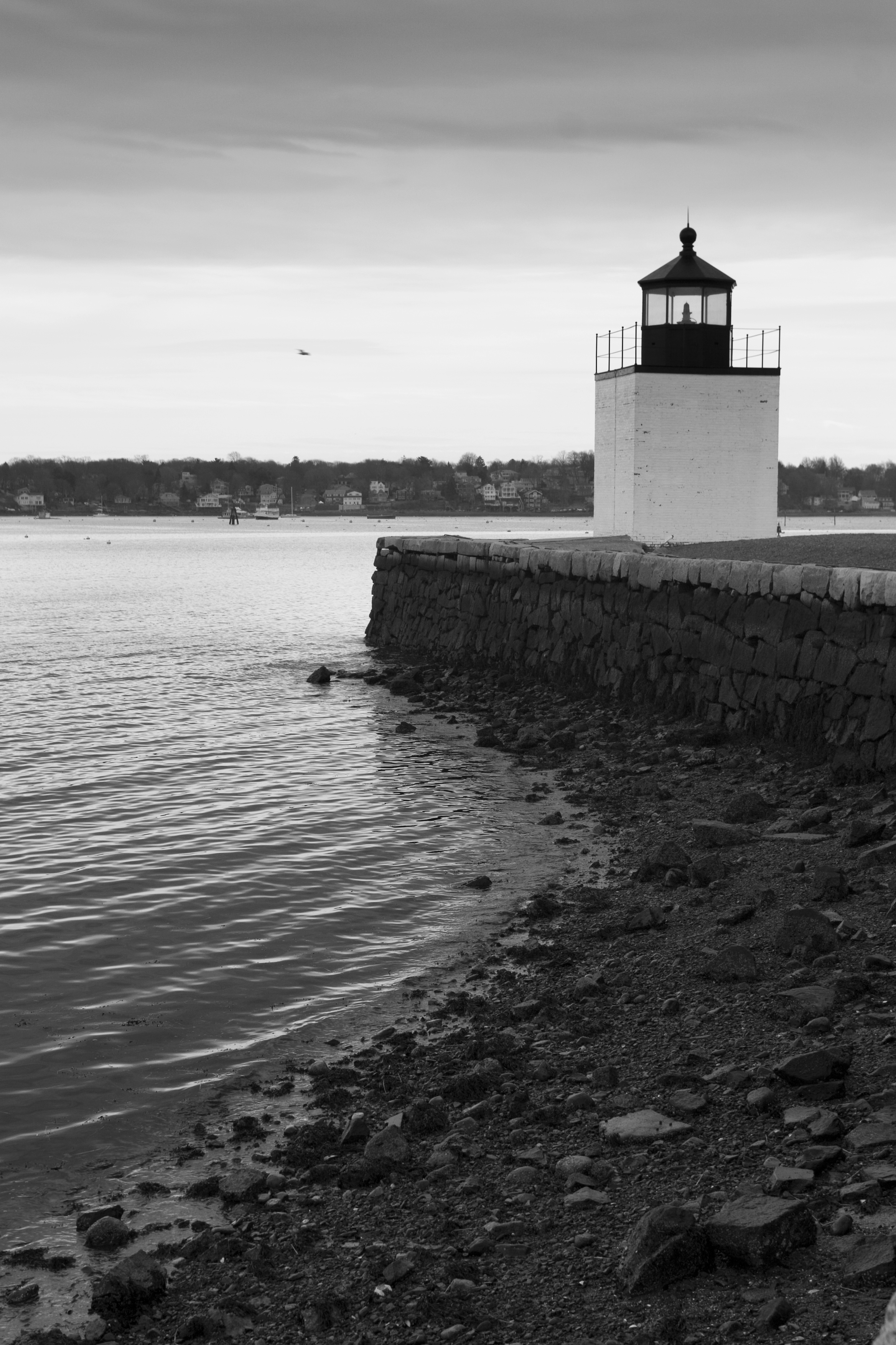 DarrenWedding_037bw