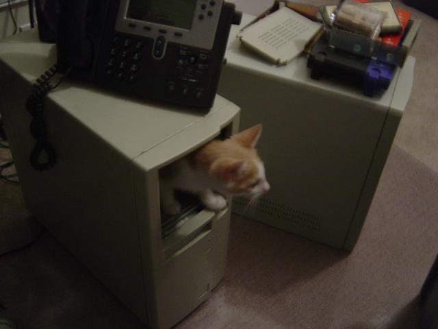 Chester in the Machine